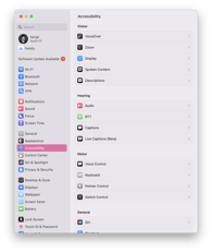 macOS Ventura Accessibility Screen